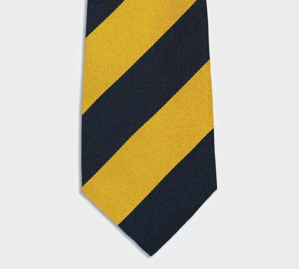 Princess of Wales Royal Reg Tie
